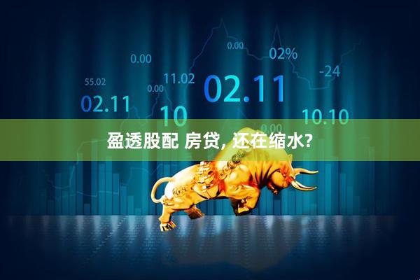 盈透股配 房贷, 还在缩水?