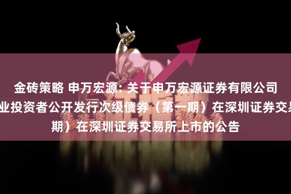 金砖策略 申万宏源: 关于申万宏源证券有限公司2025年面向专业投资者公开发行次级债券（第一期）在深圳证券交易所上市的公告